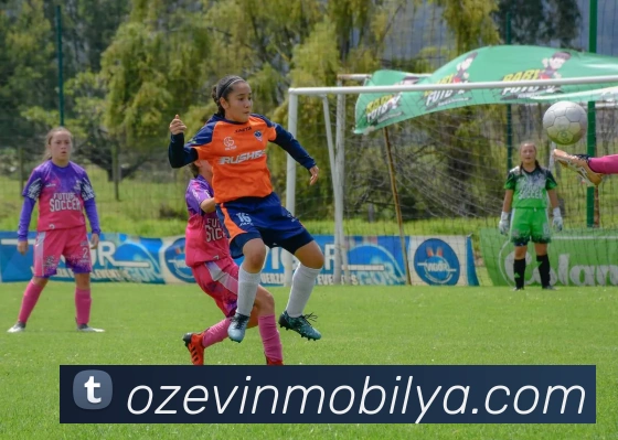 mk官网入口服务体系